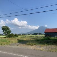 【売土地】俱知安町からキロロ、小樽方面へ抜ける道道393号線沿い　広大な土地